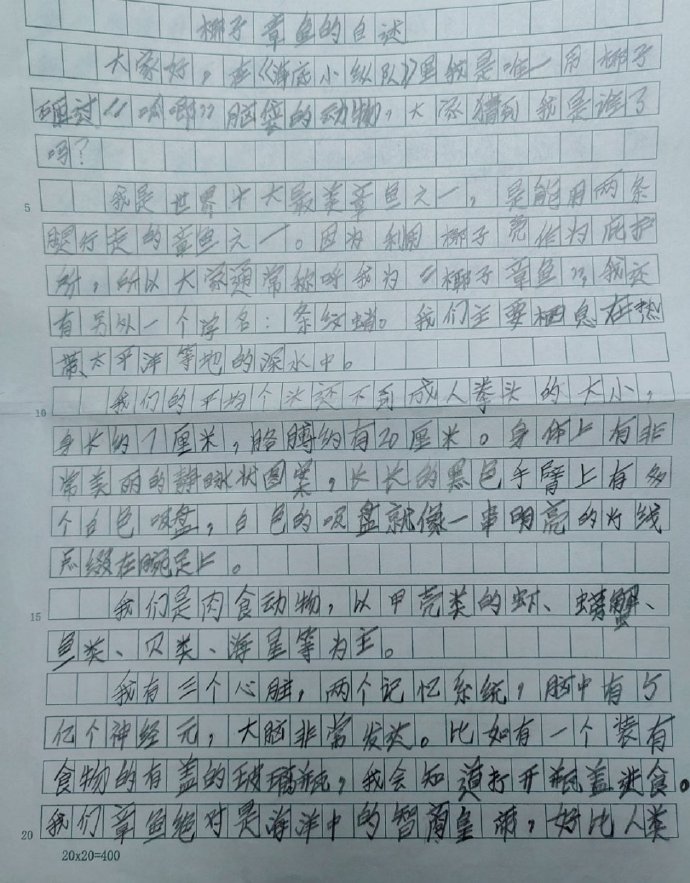 神	奇的玫瑰花作文小学三年级