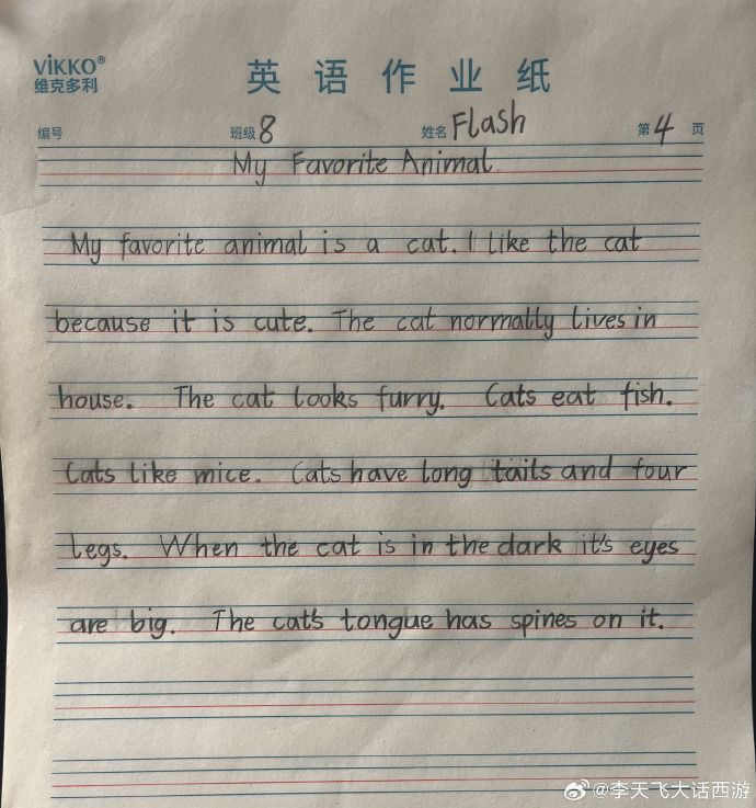 英语作文润色(英文作文润色)