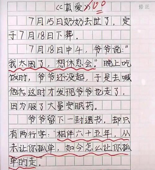 小学生网红作文