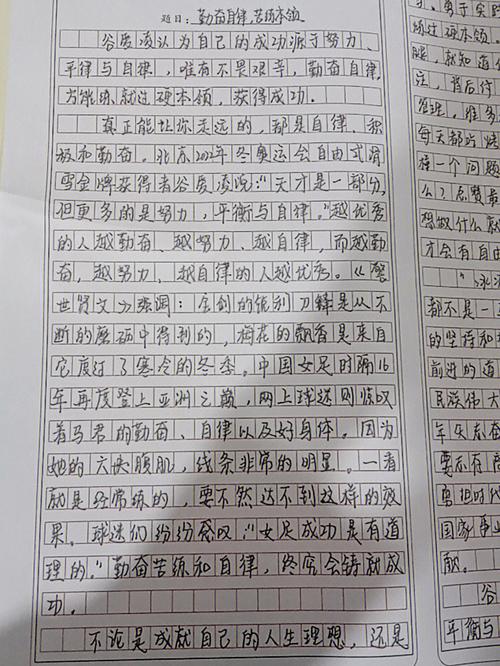 小	学升初中英语作文