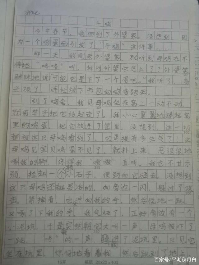 小学生写小动物的作文(小学生动物作文创作)