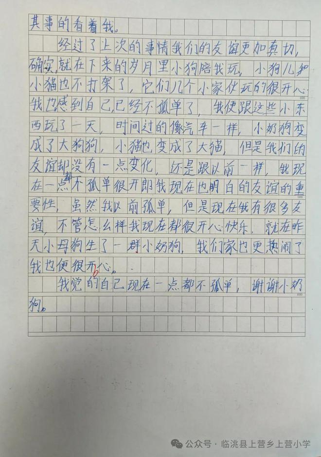 小学生写人作文评语(小学生写人作文评语)