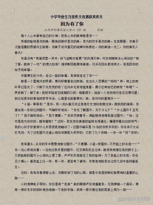 小	学作文开心的一天