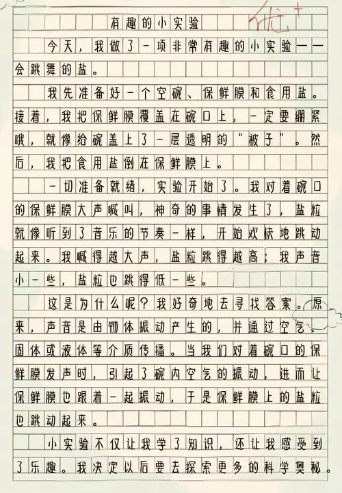 小学作文开心的一天